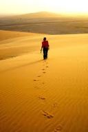sand dune path
